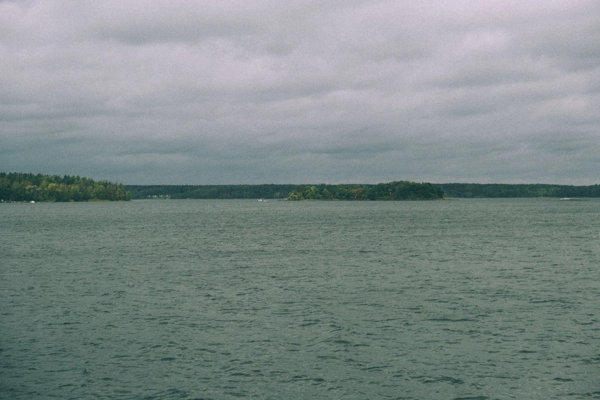 DSCF6443.jpg