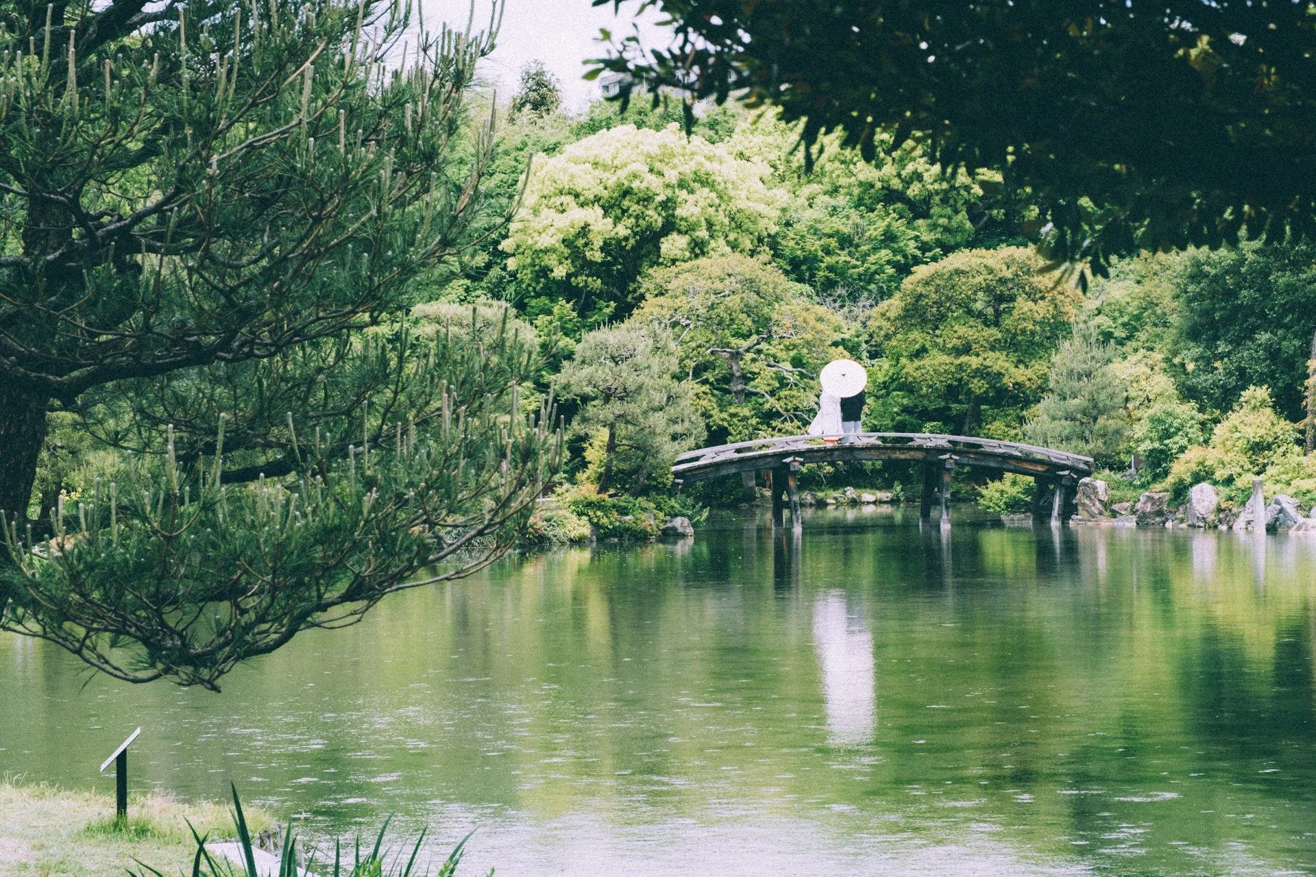 DSCF9439.jpg