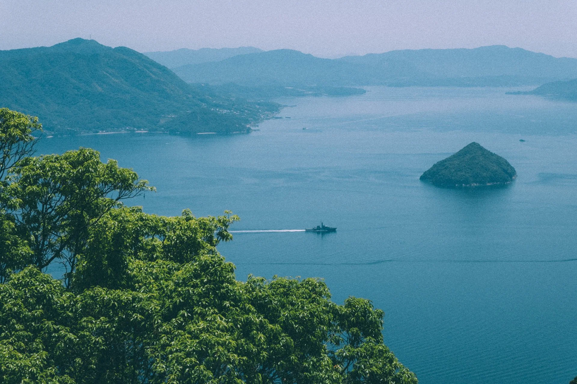 DSCF1577.jpg