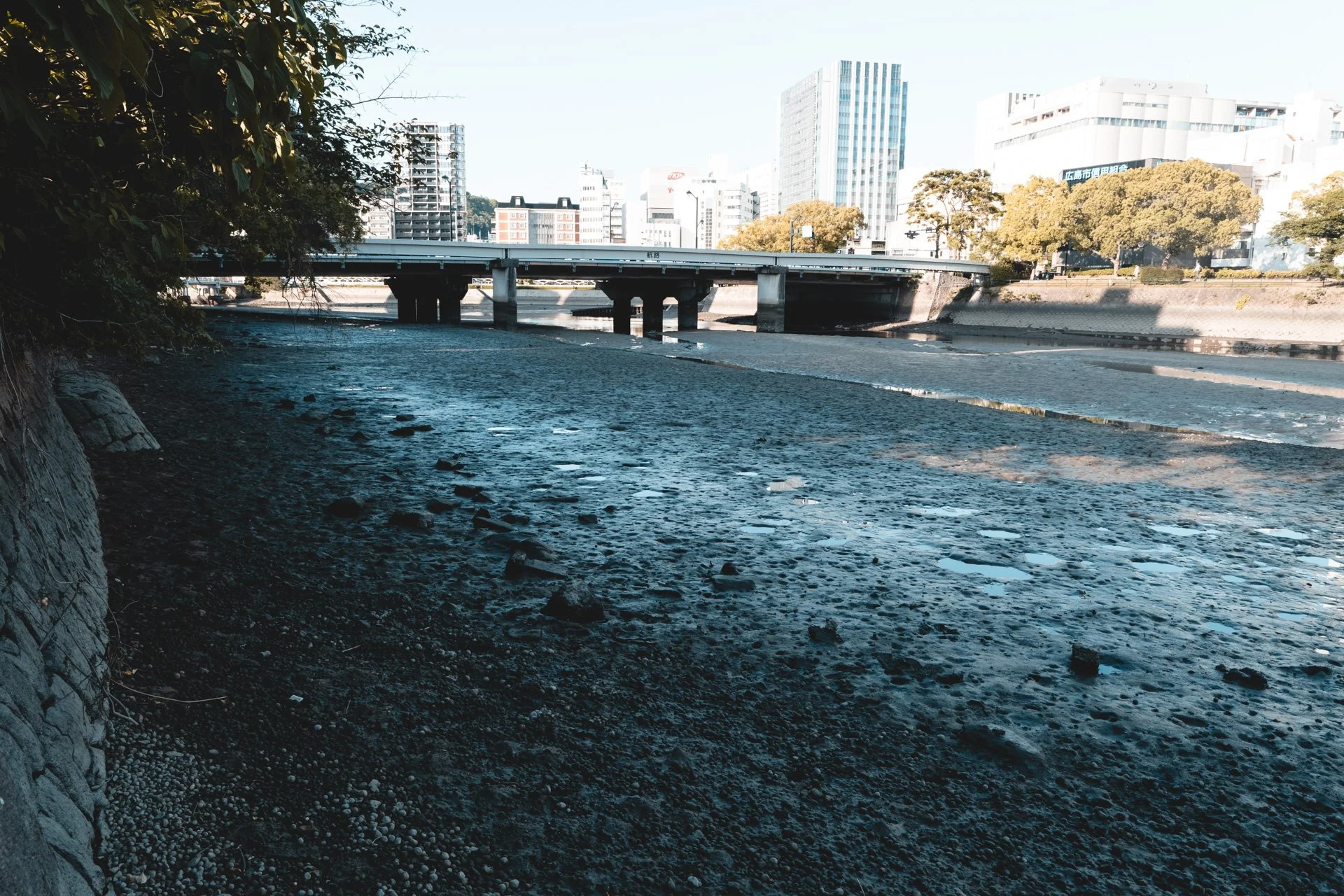 DSCF1397.jpg