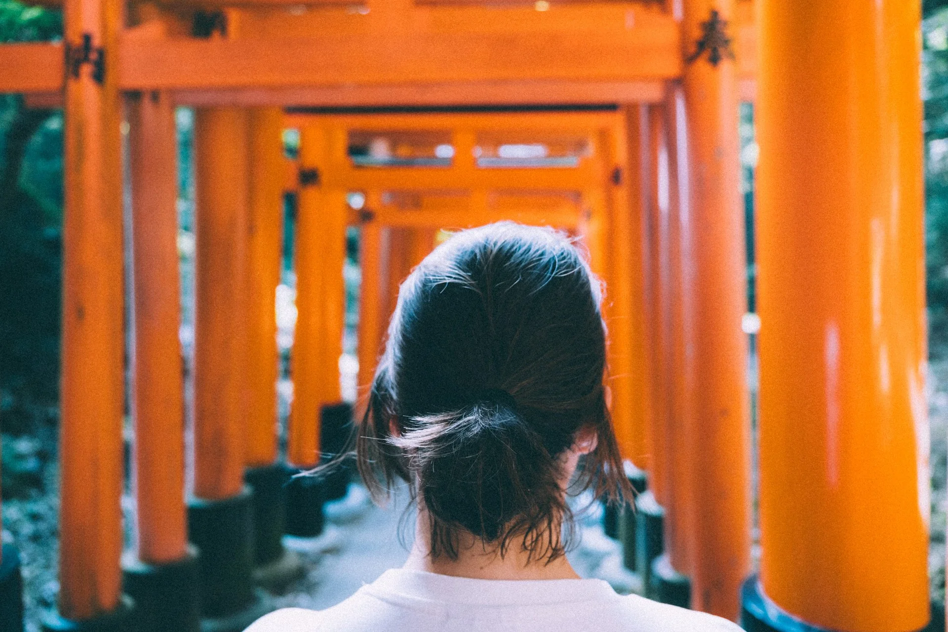 2026 | Kyoto