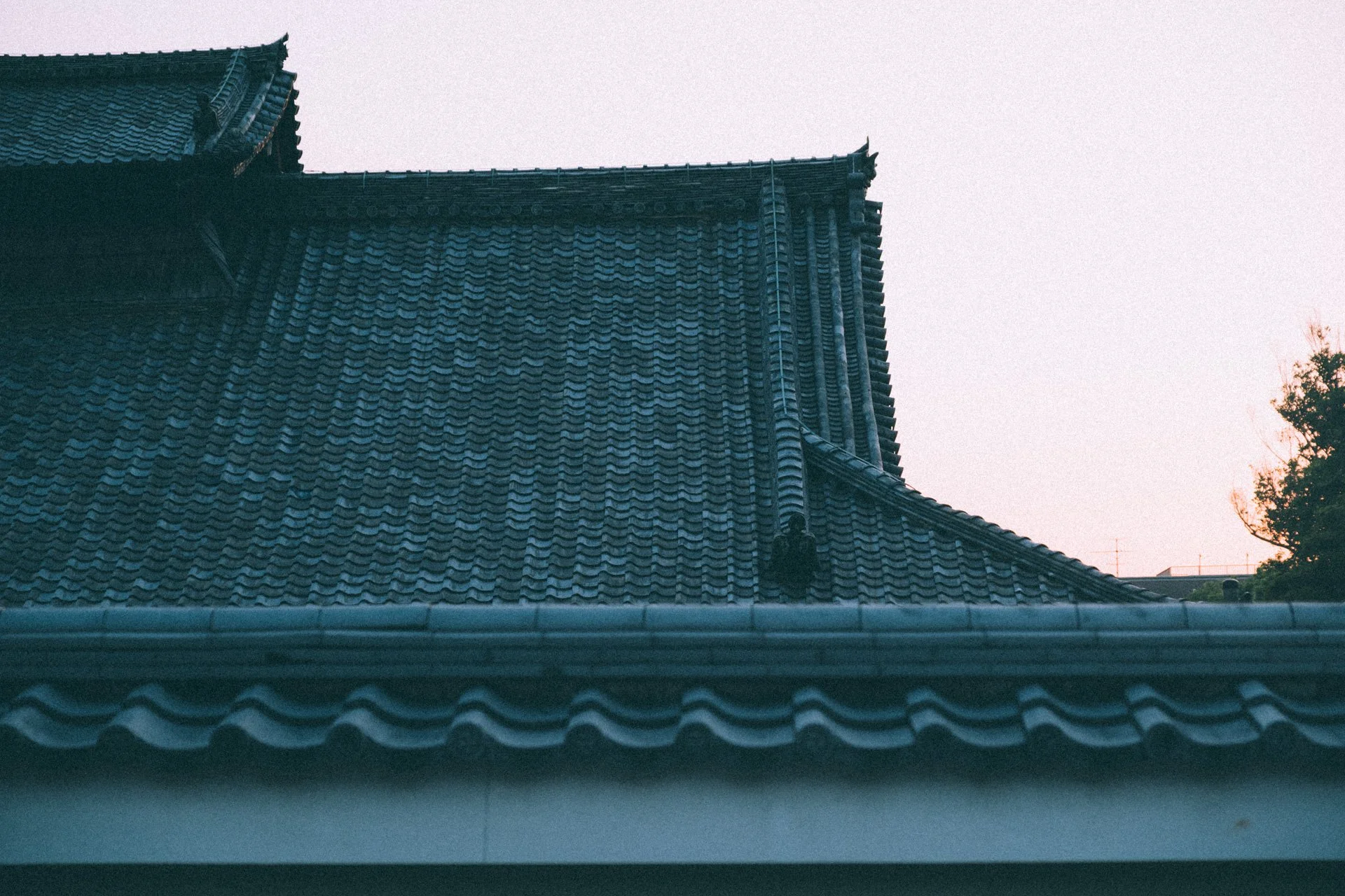 DSCF0915.jpg