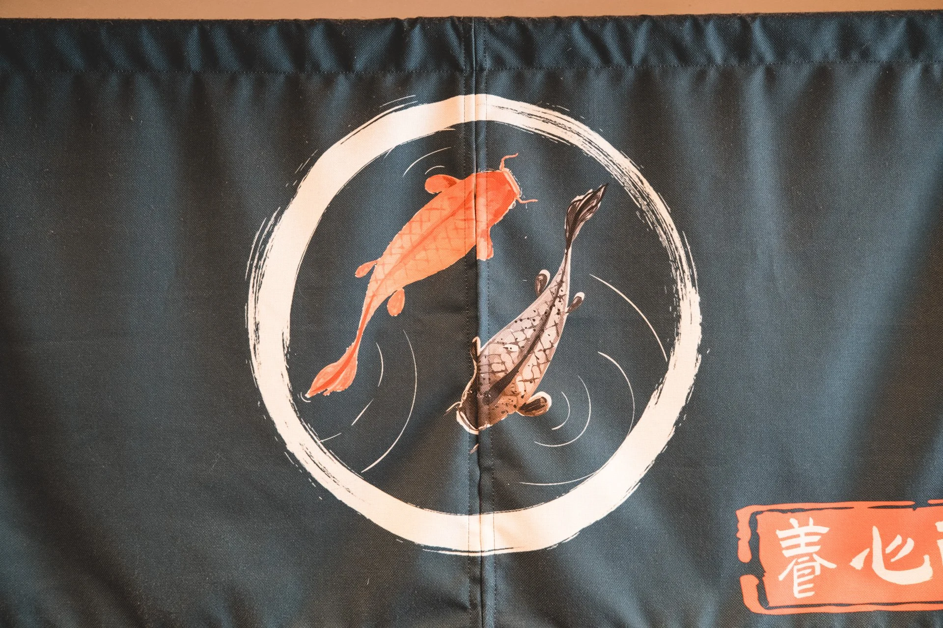 DSCF4557.jpg