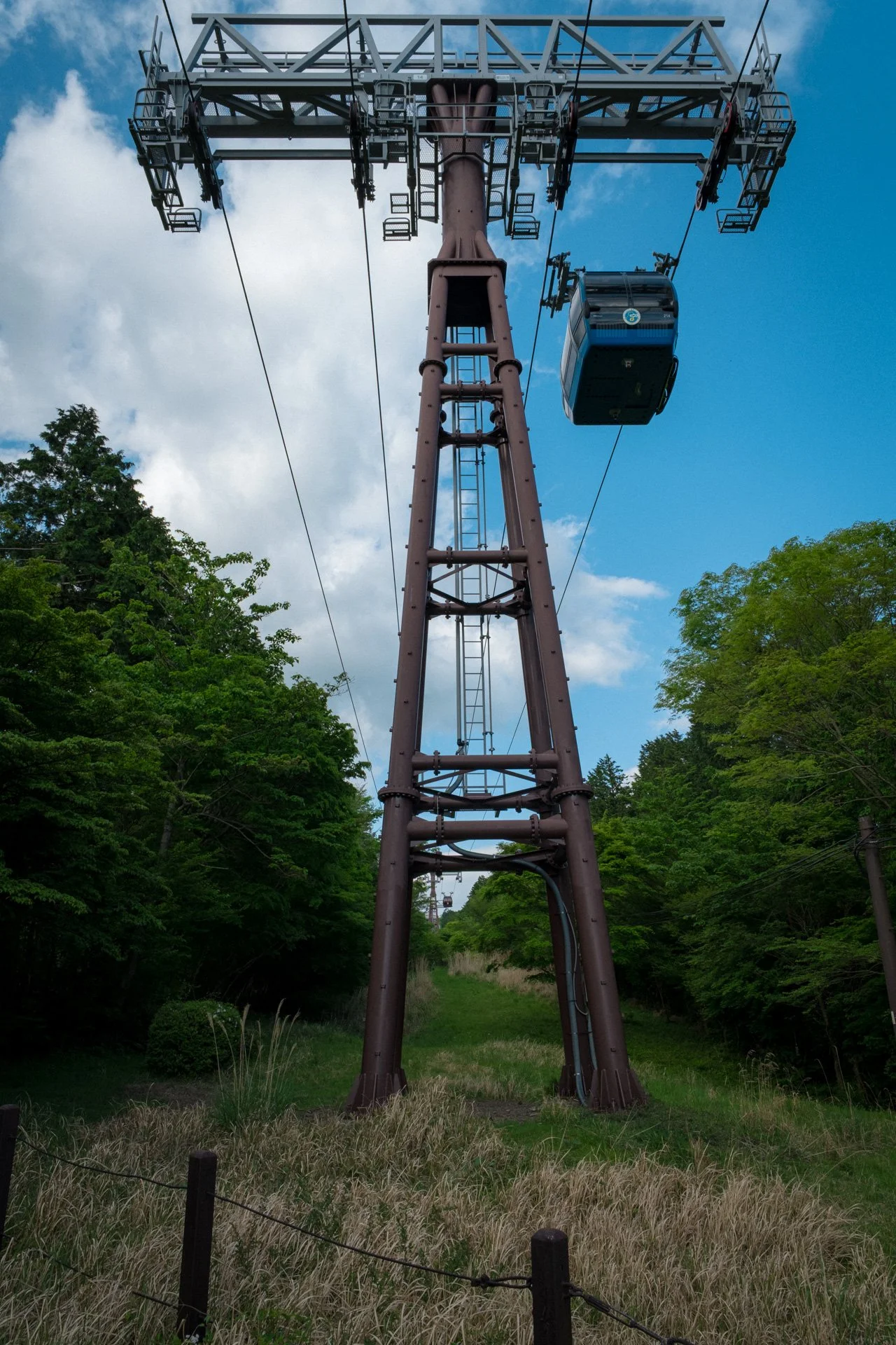 DSCF8848.jpg