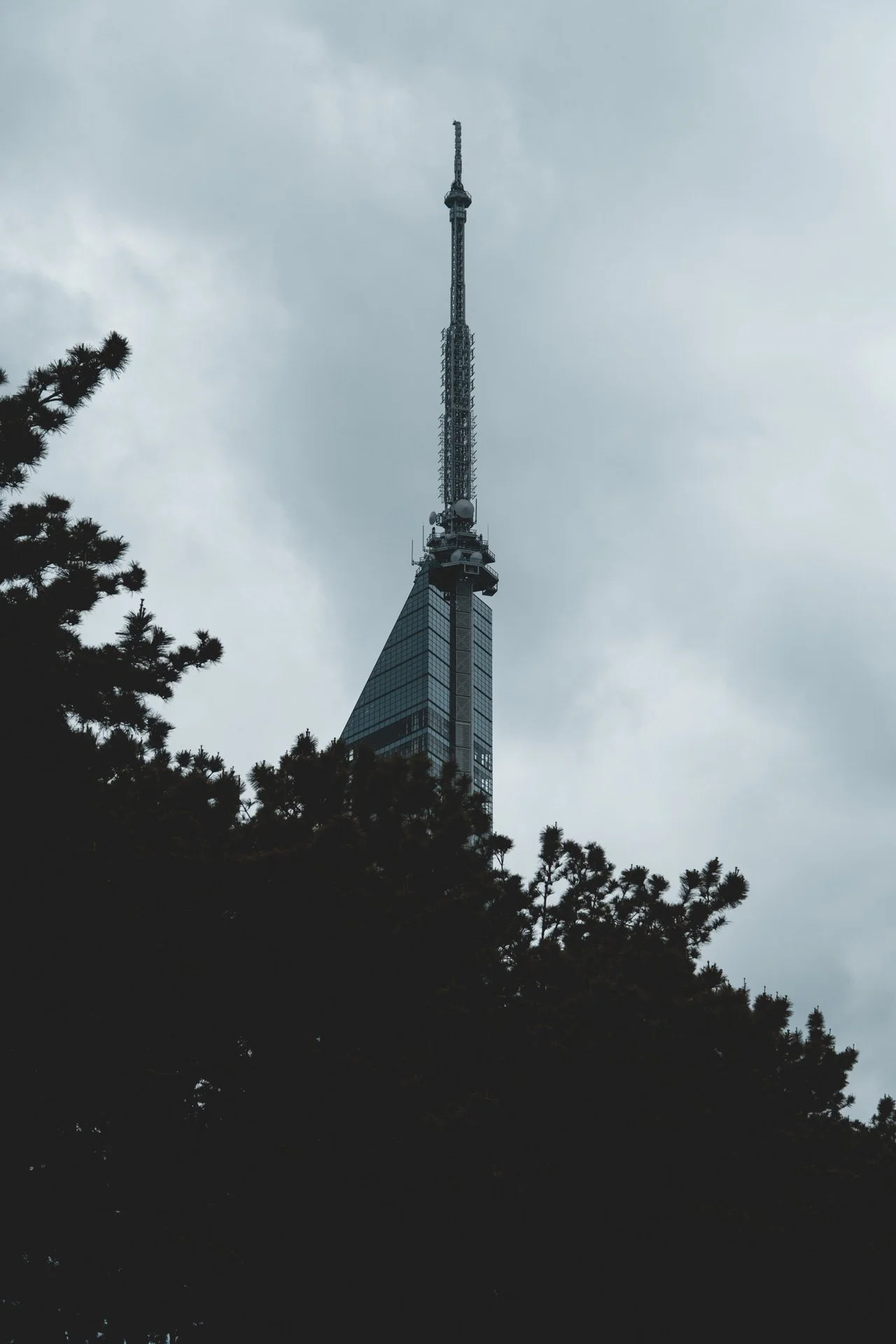 DSCF2411.jpg