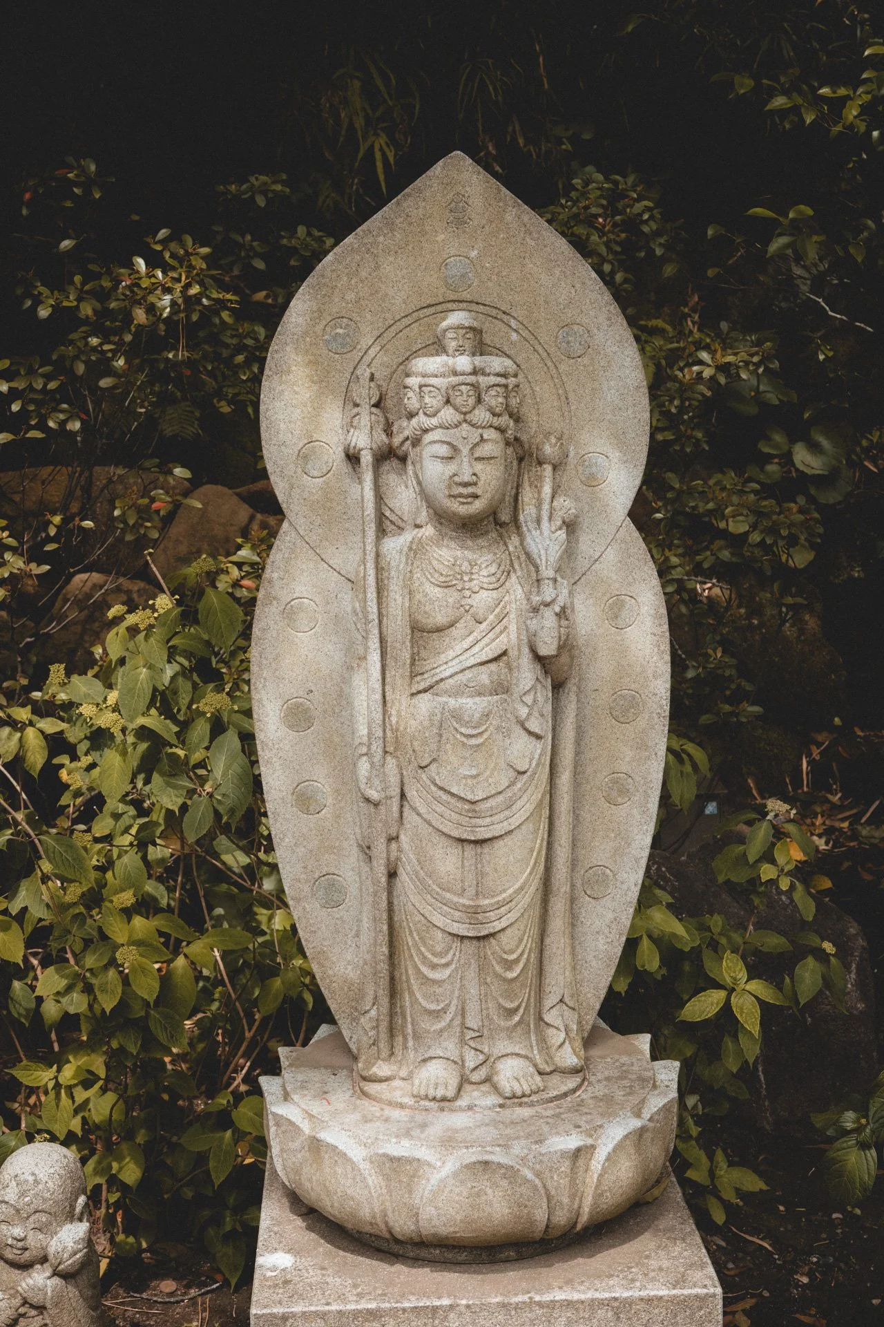 DSCF8318.jpg