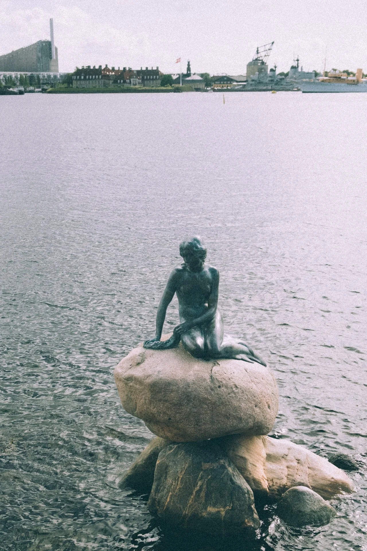 DSCF3496.jpg