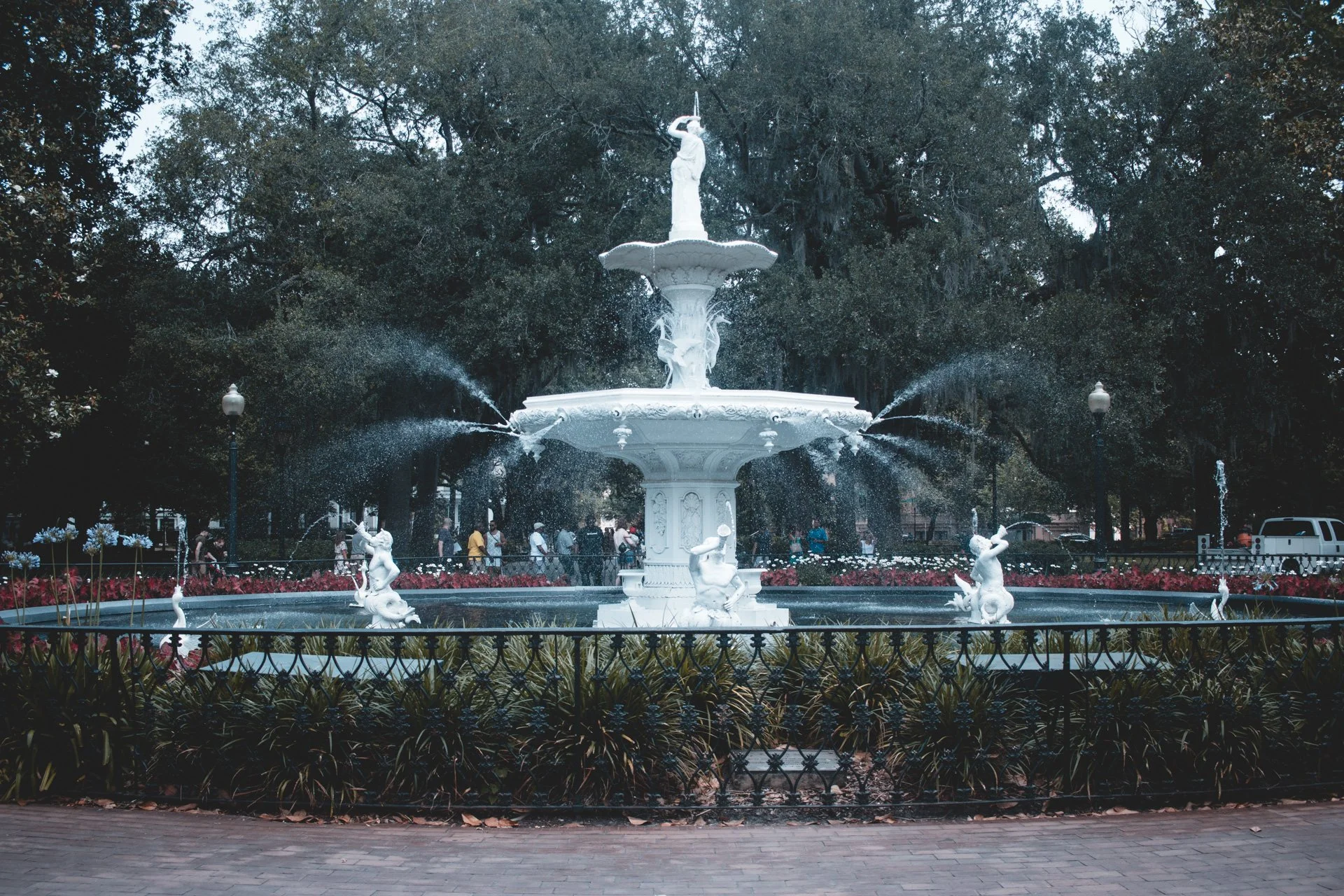 savannah-493.jpg
