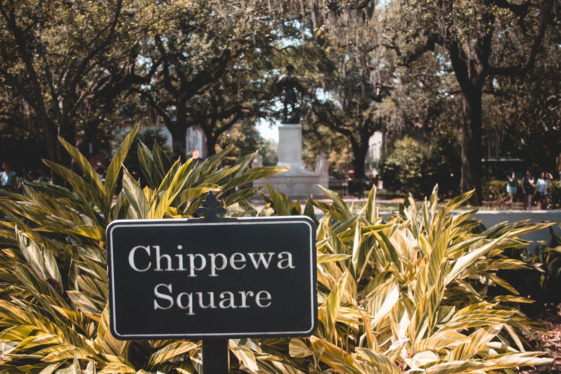 savannah-489.jpg