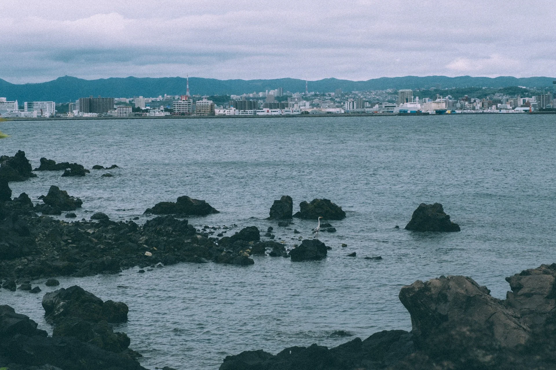 DSCF3496.jpg