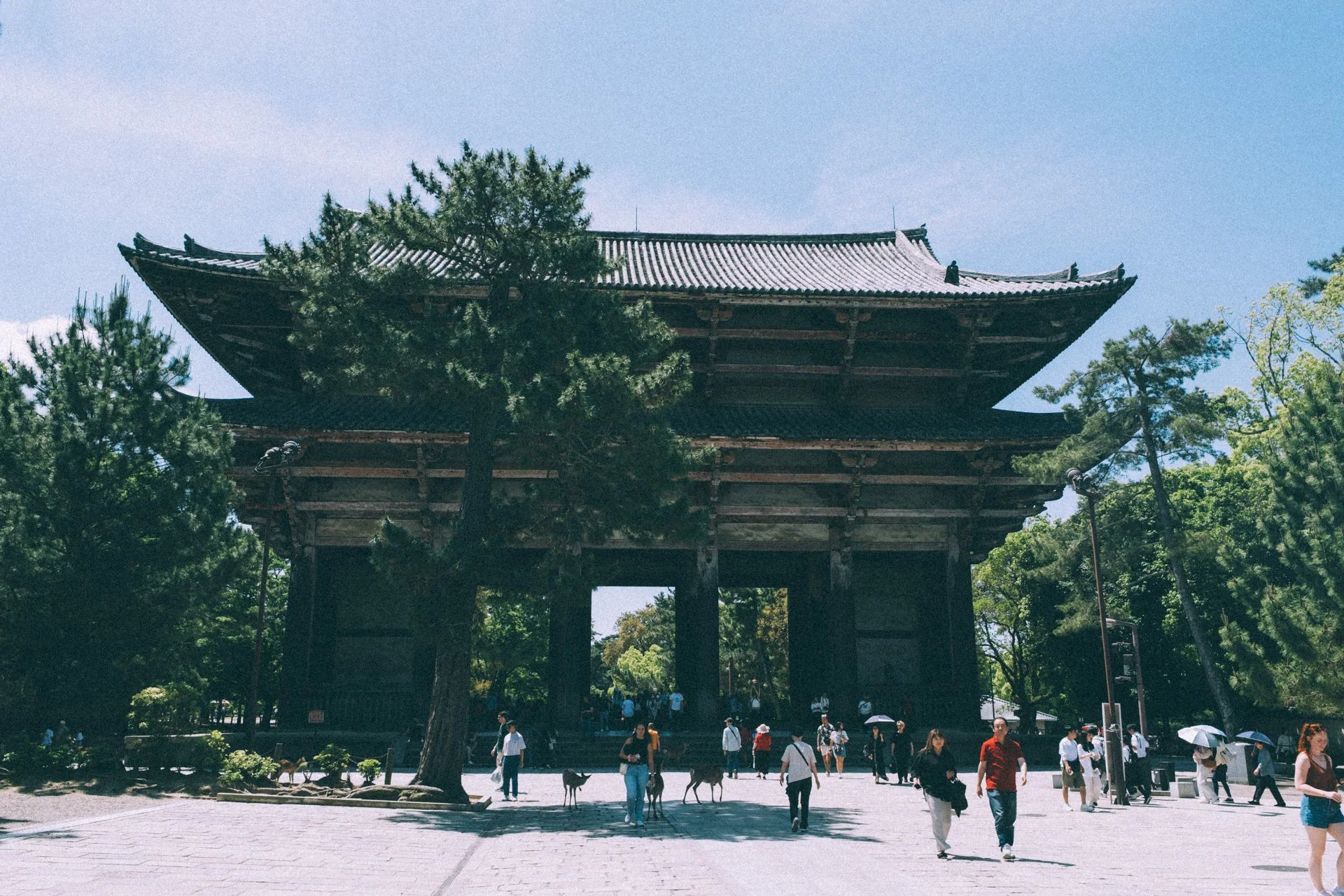 DSCF0495.jpg