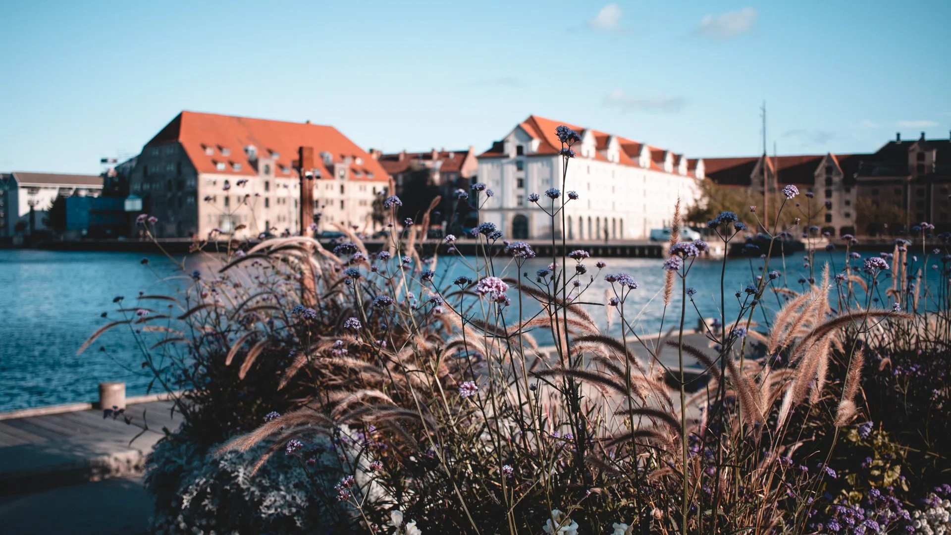 20211012 - Kopenhagen-85.jpg
