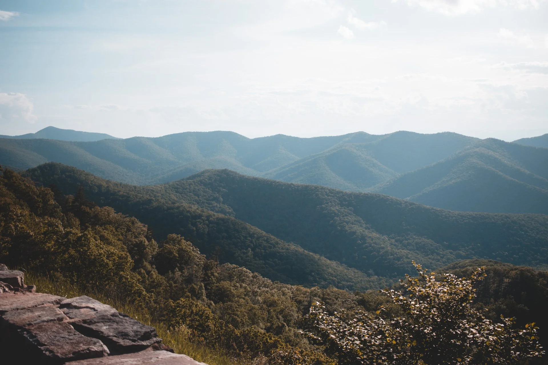 shenandoah-519.jpg