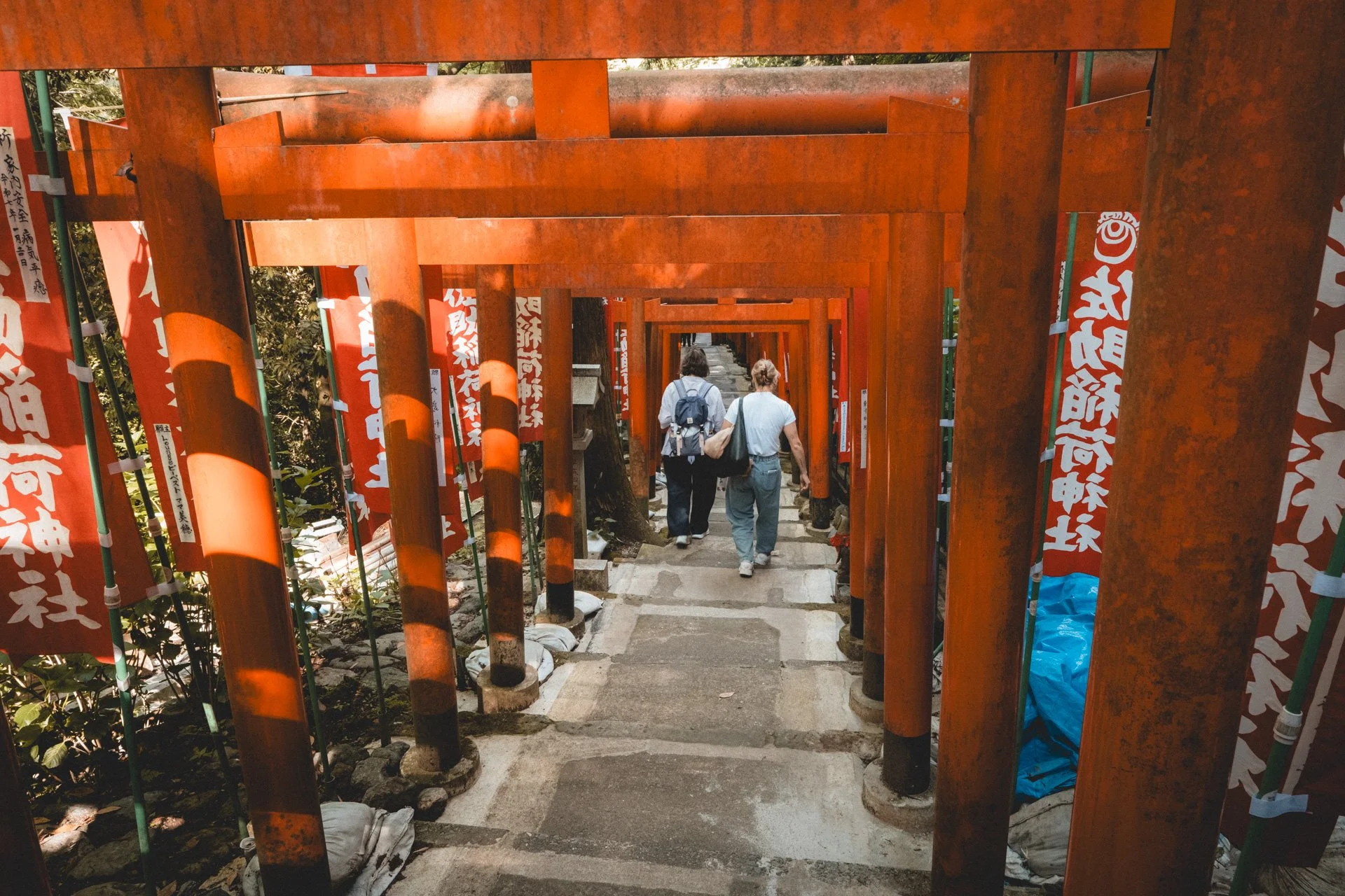 DSCF8730.jpg
