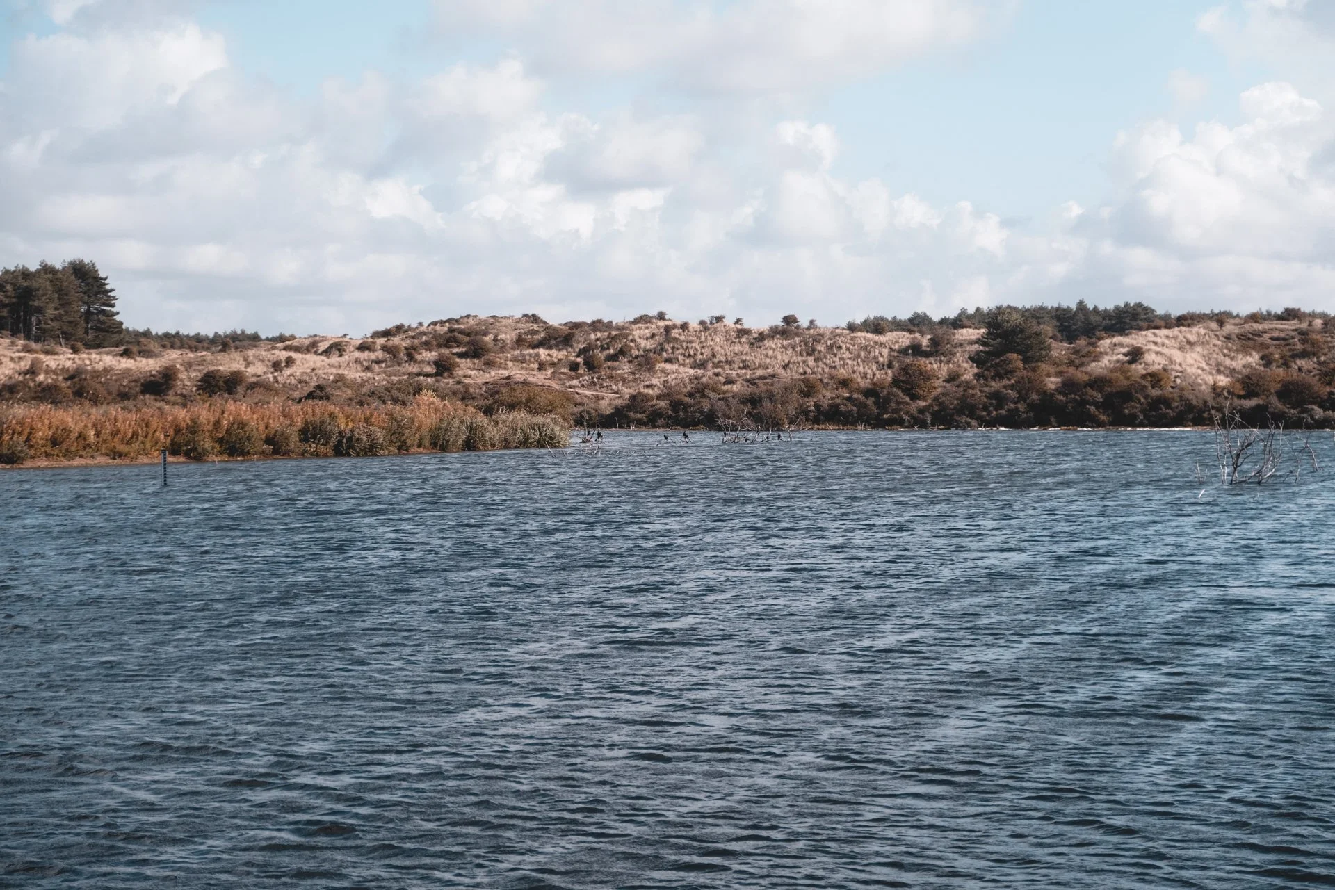 DSCF5918.jpg