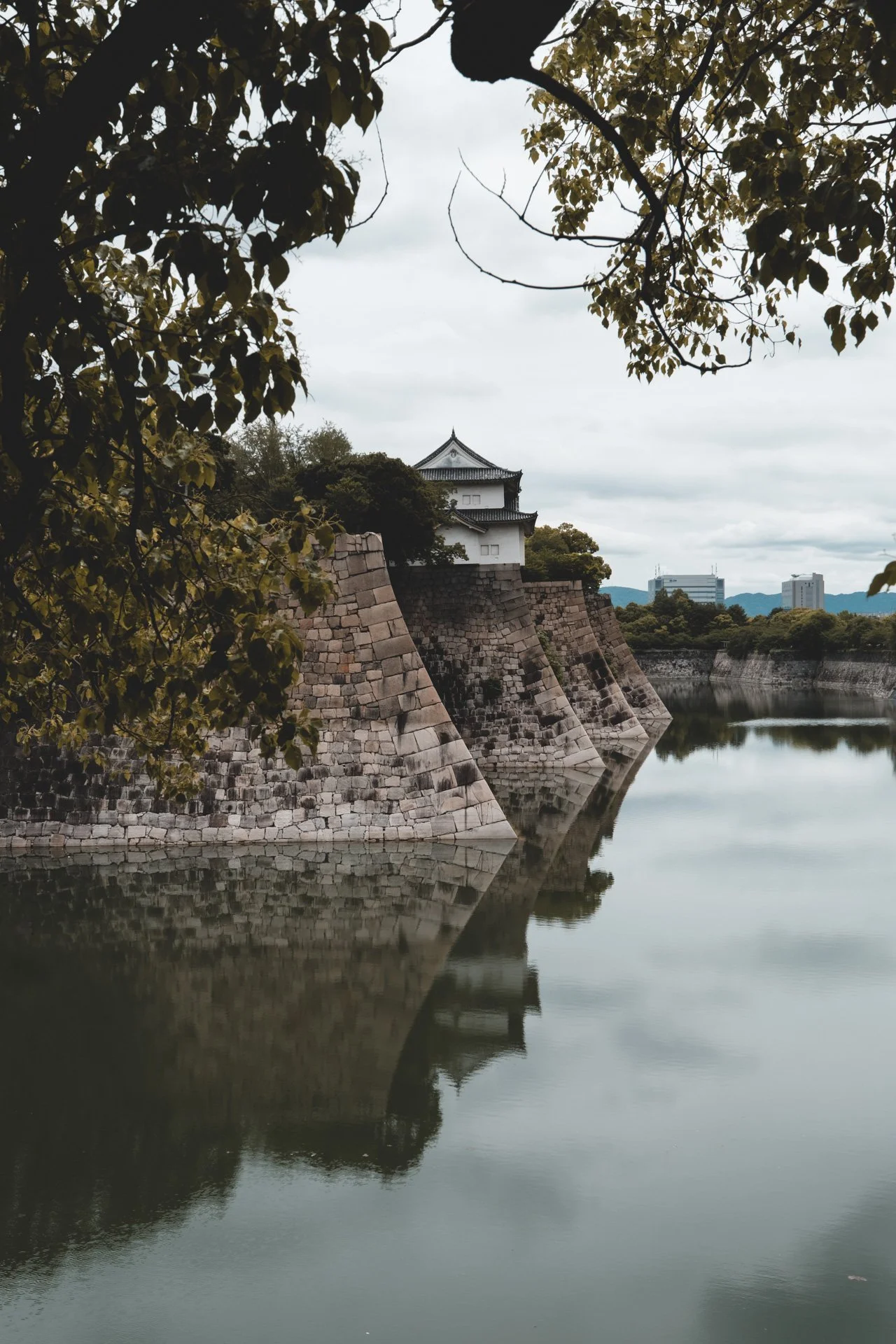 DSCF4327.jpg