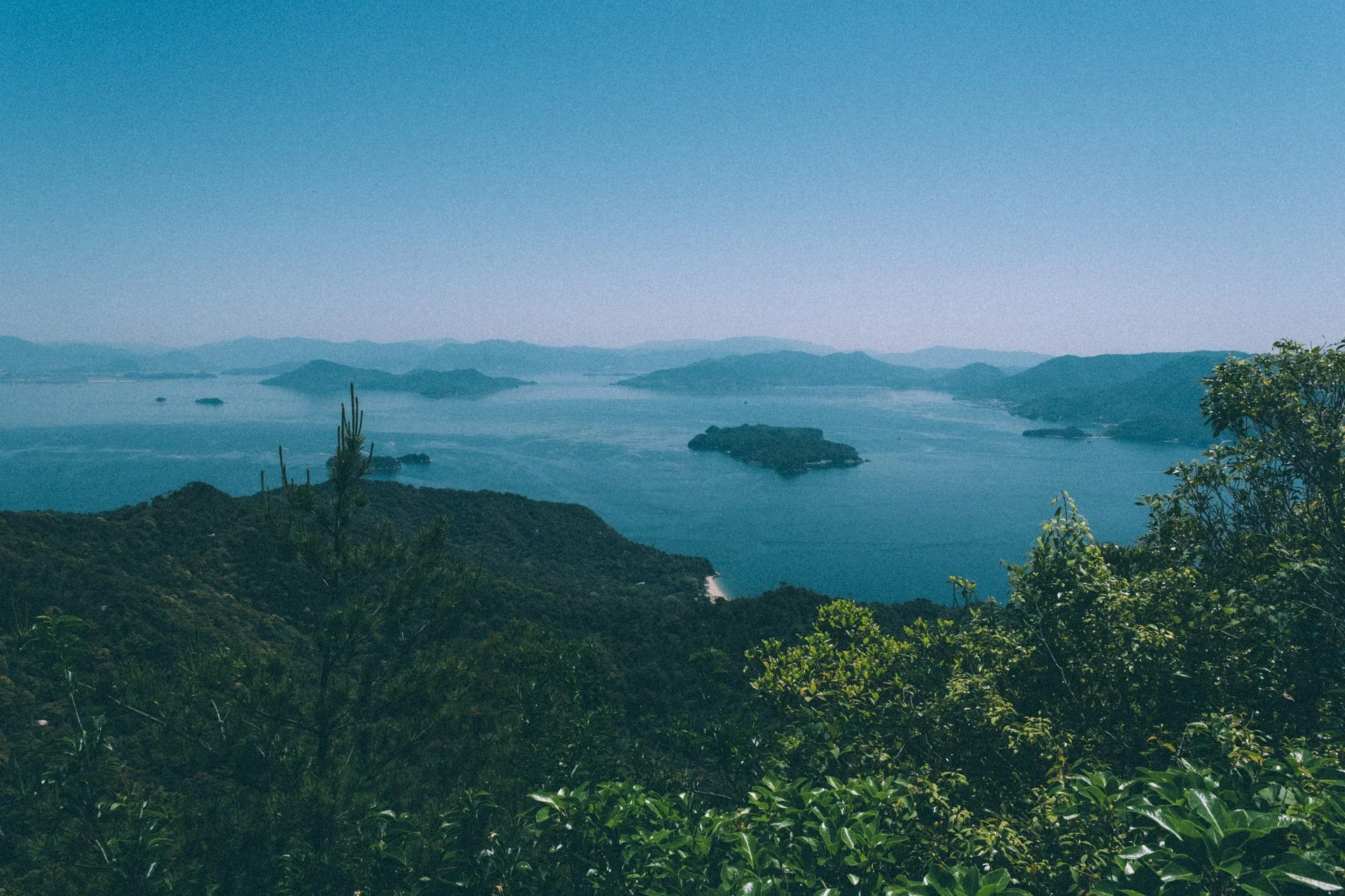 DSCF1537.jpg