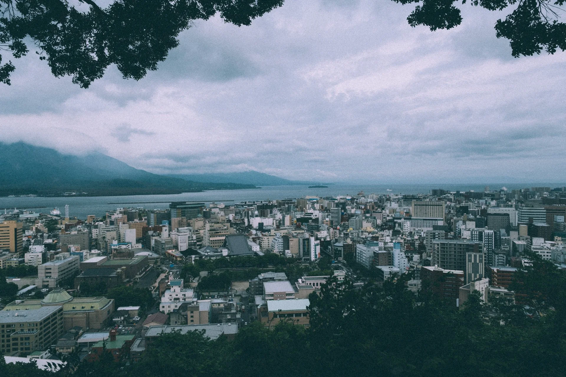 DSCF3220.jpg