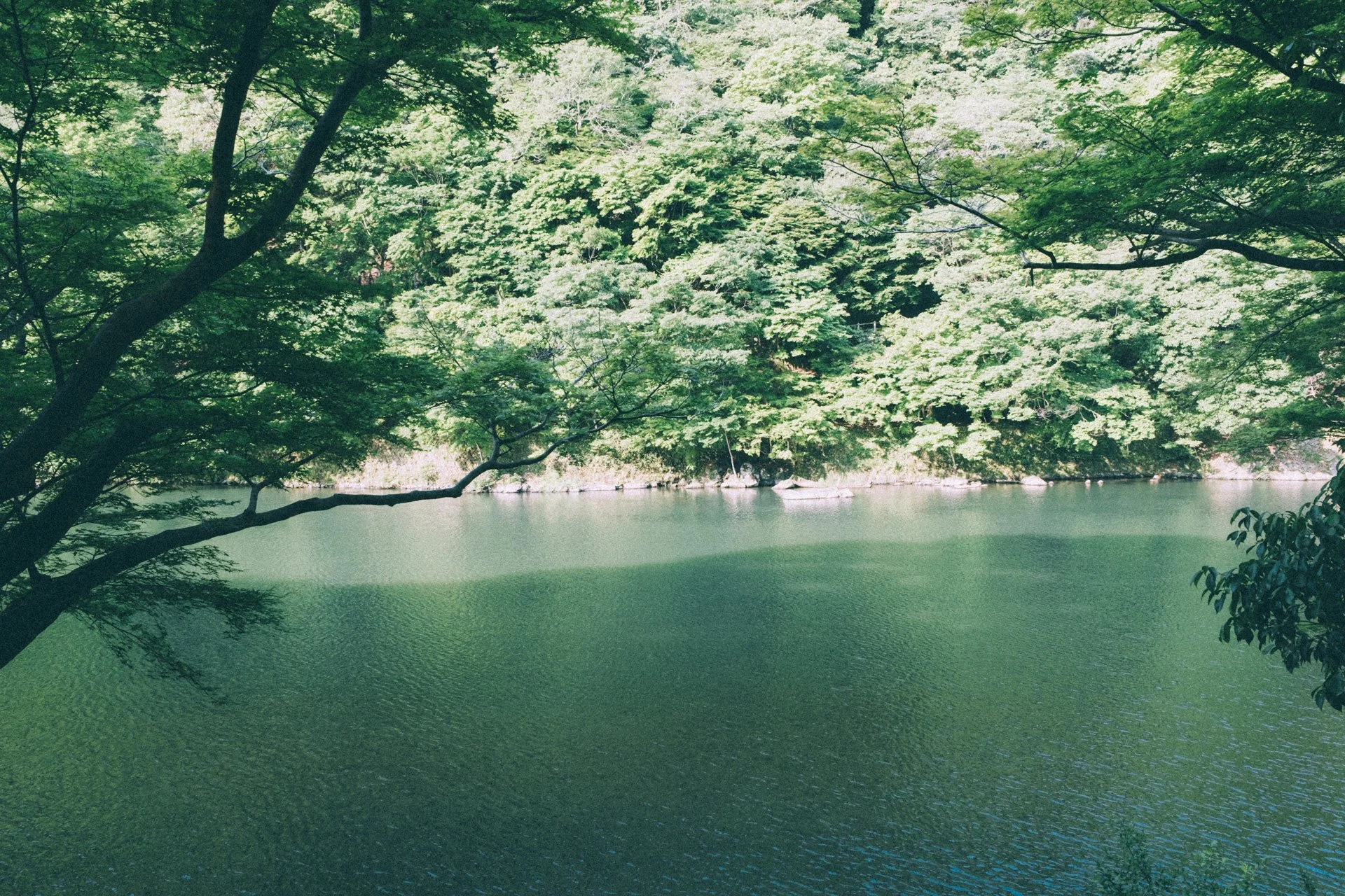DSCF0628.jpg