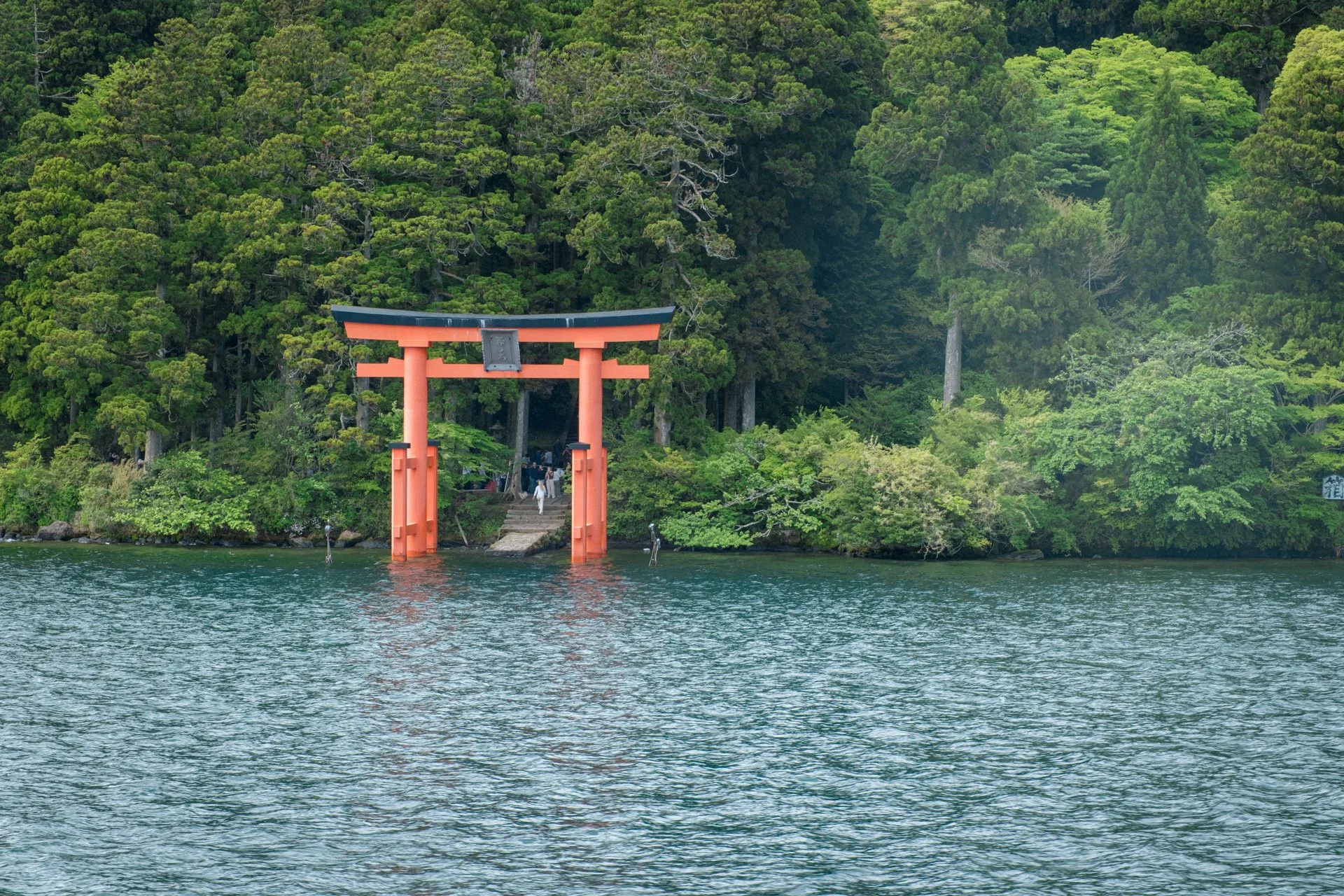 DSCF9249.jpg