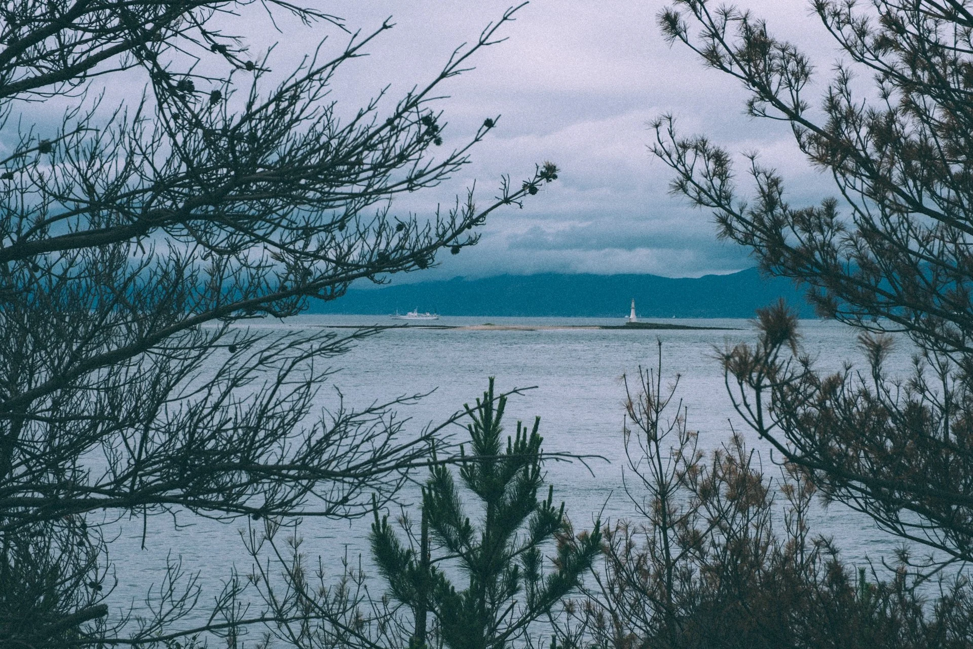 DSCF3564.jpg