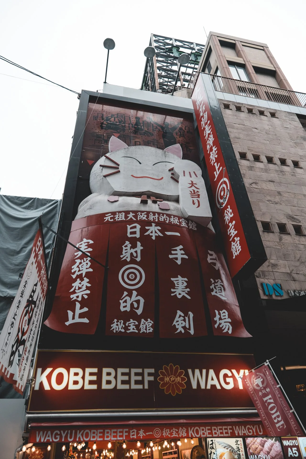 DSCF4600.jpg