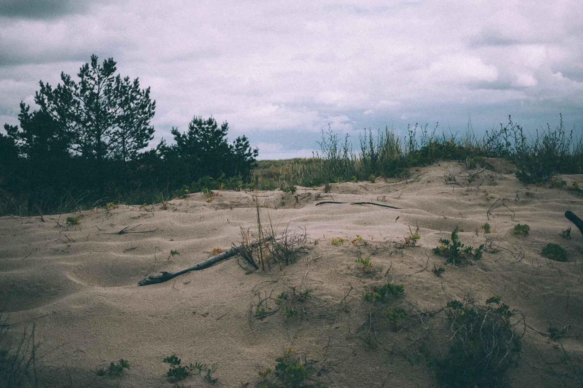 danzig_096.jpg