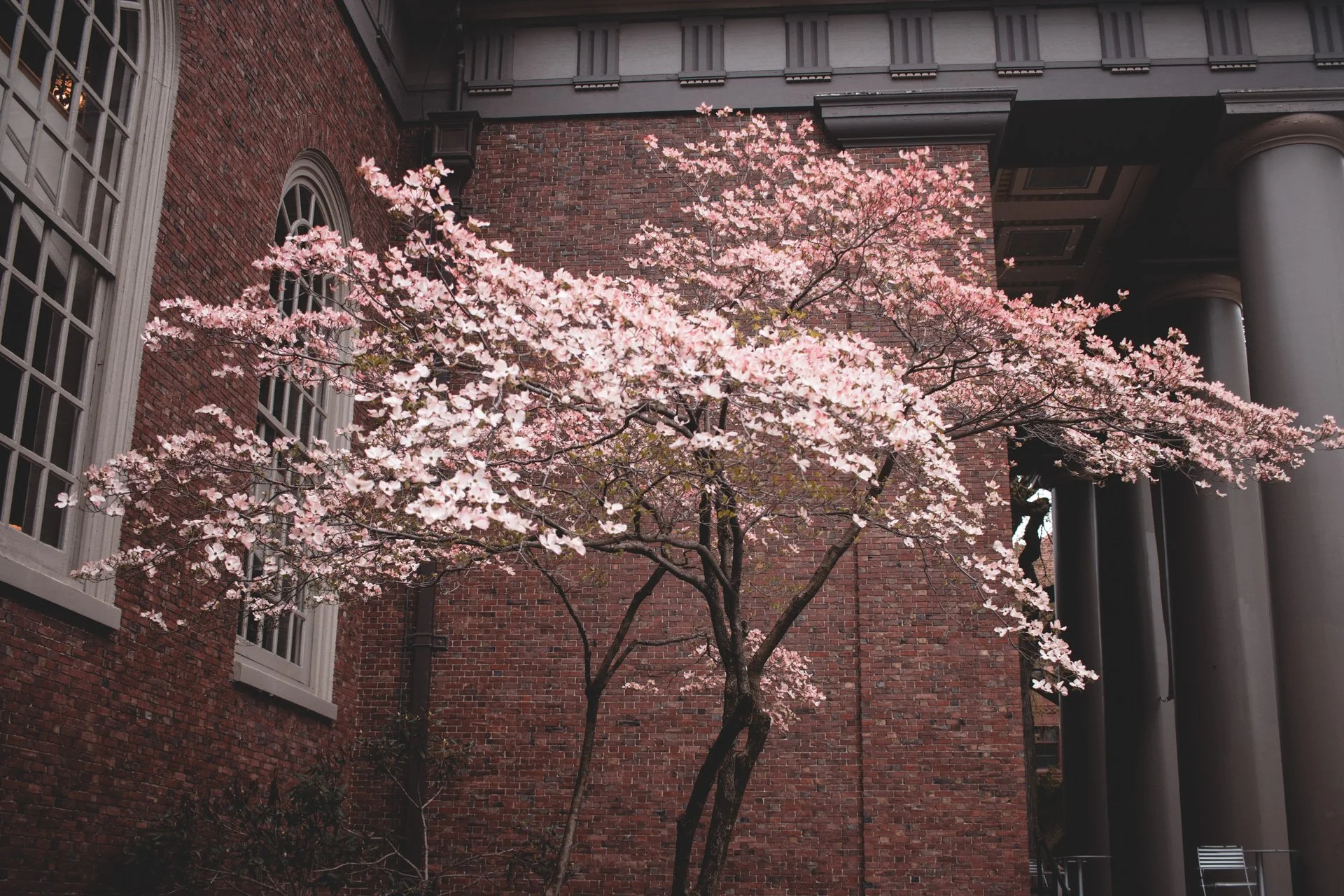 2019 | Boston