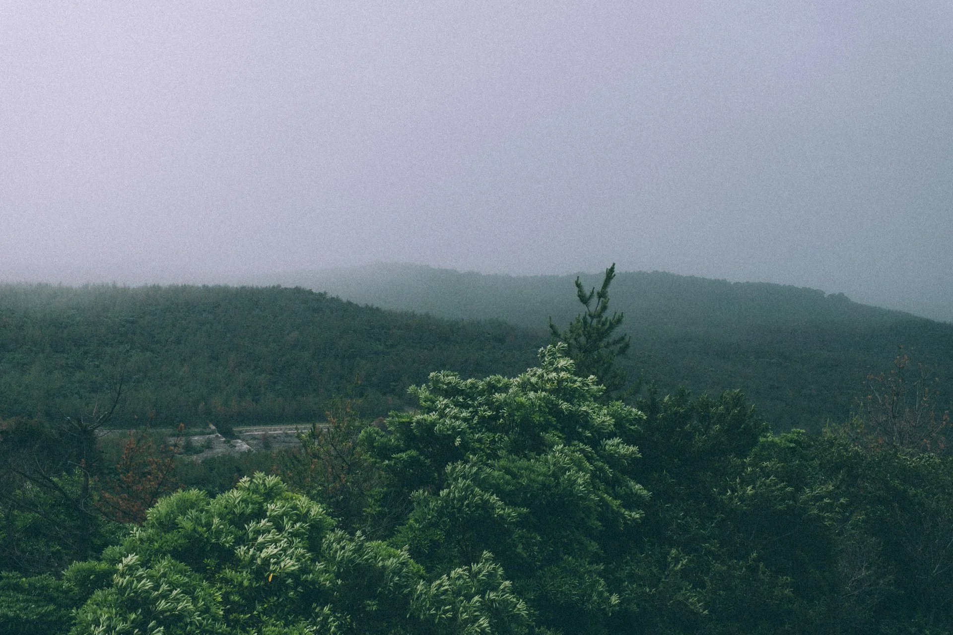 DSCF3610.jpg