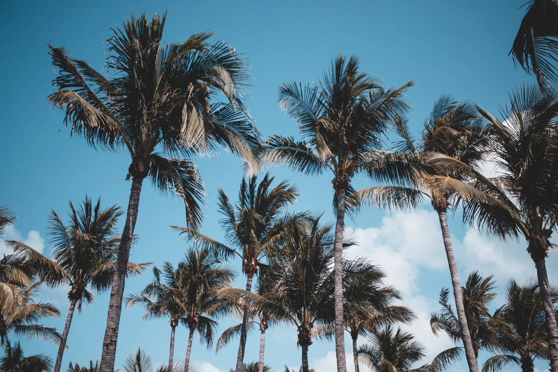 miami-272.jpg