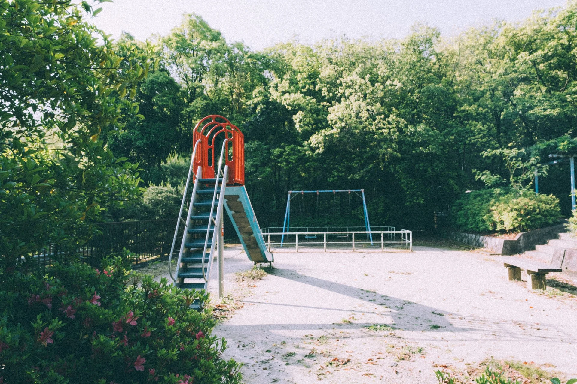 DSCF0649.jpg