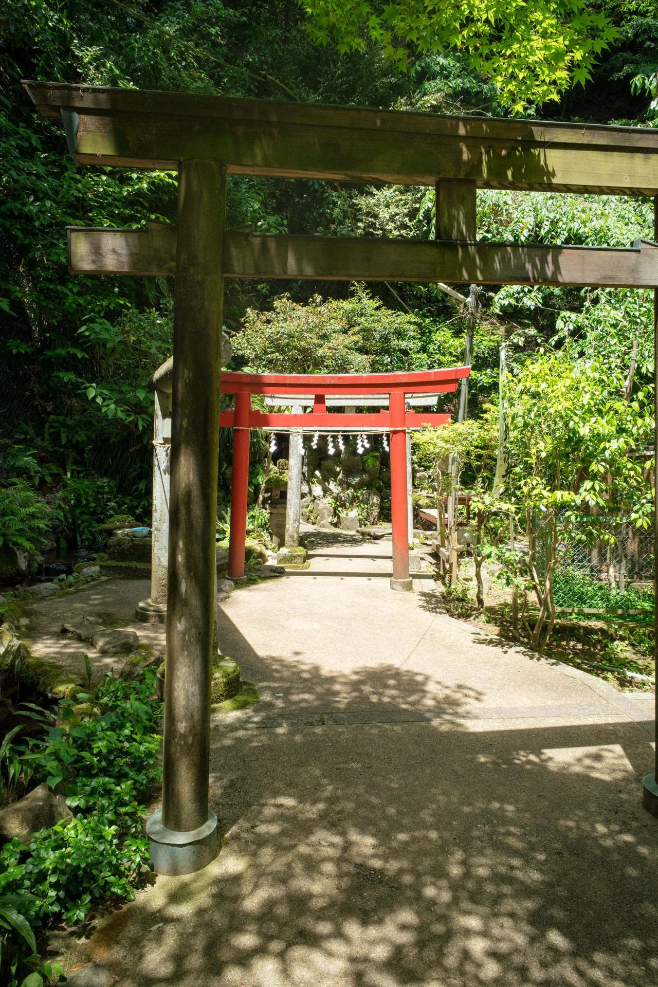 DSCF9053.jpg