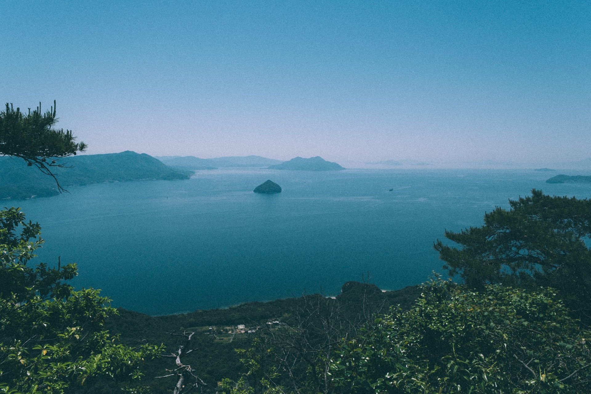 DSCF1545.jpg