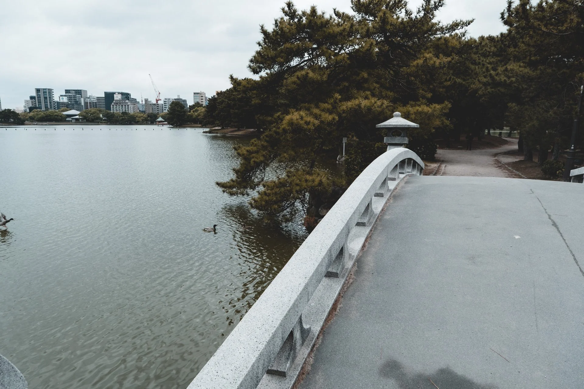 DSCF2316.jpg