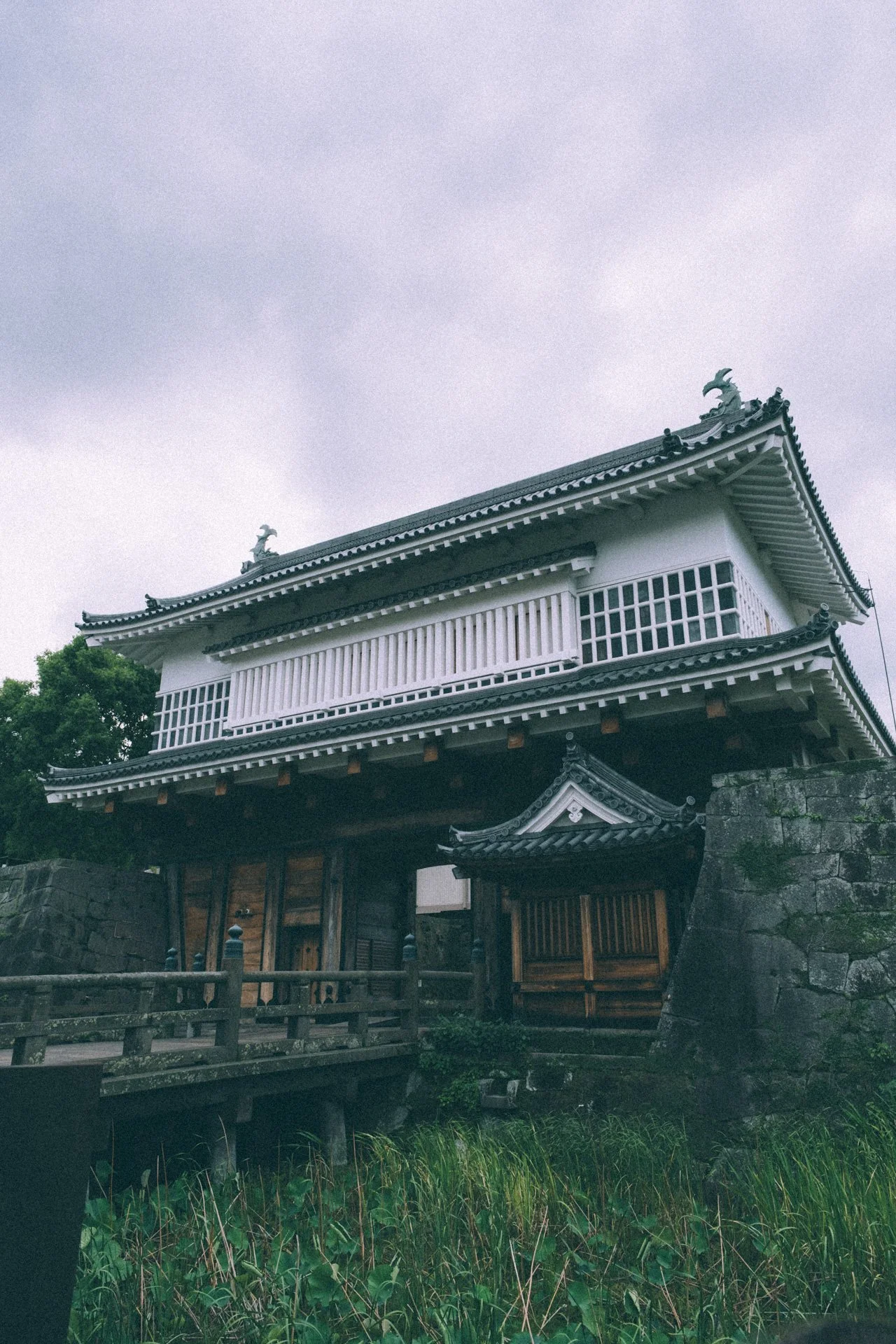 DSCF3304.jpg