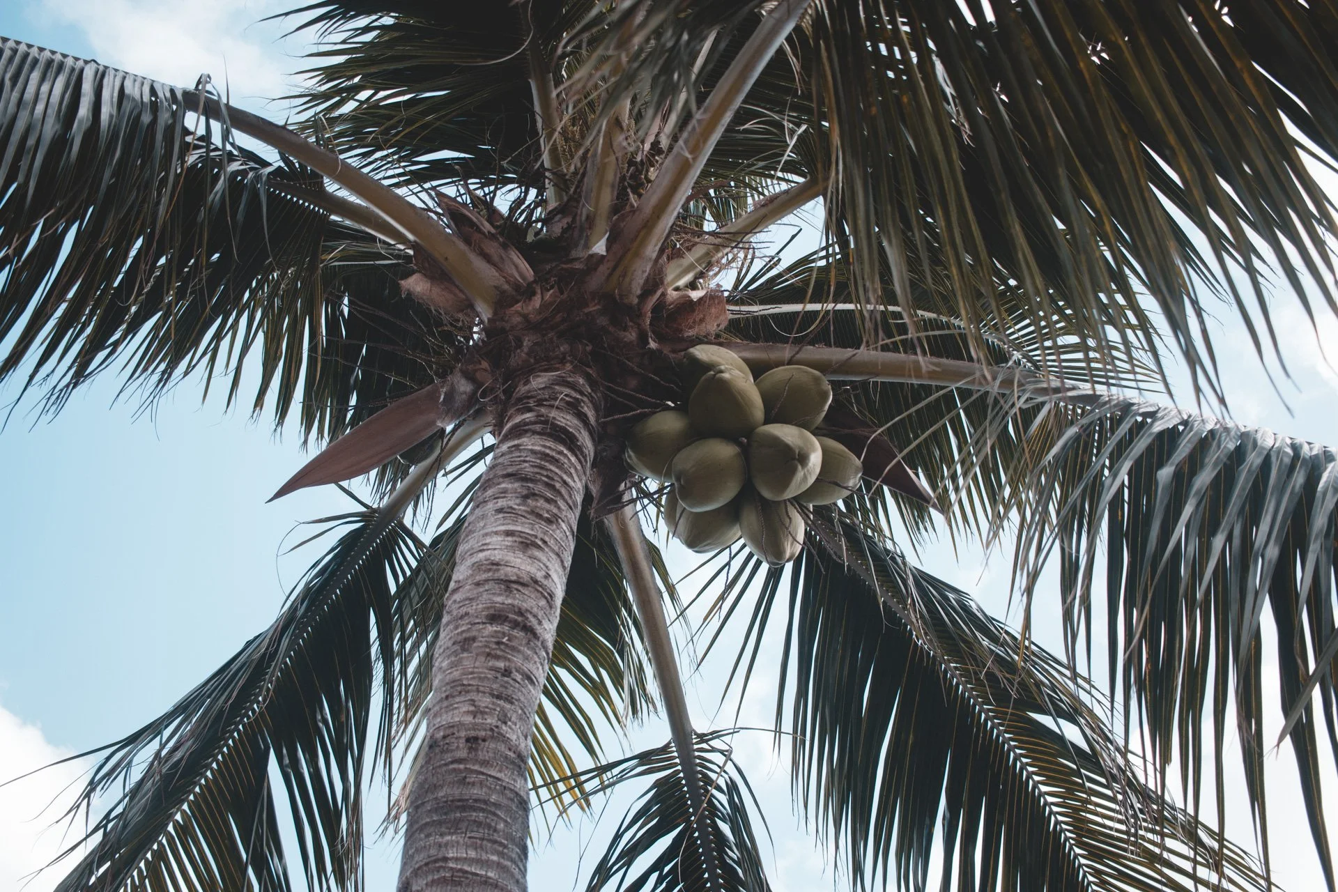 miami-281.jpg