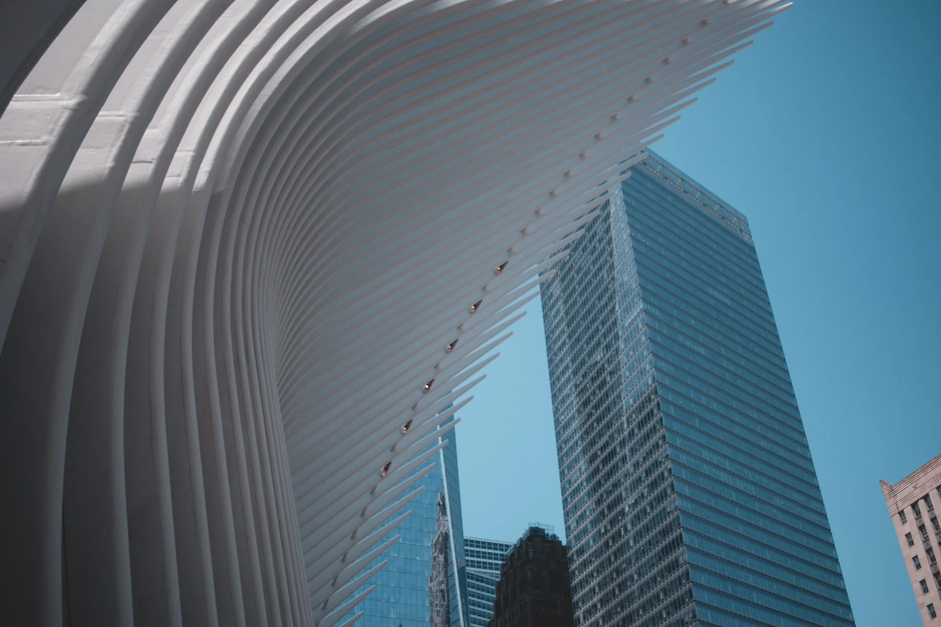 newyork-334.jpg