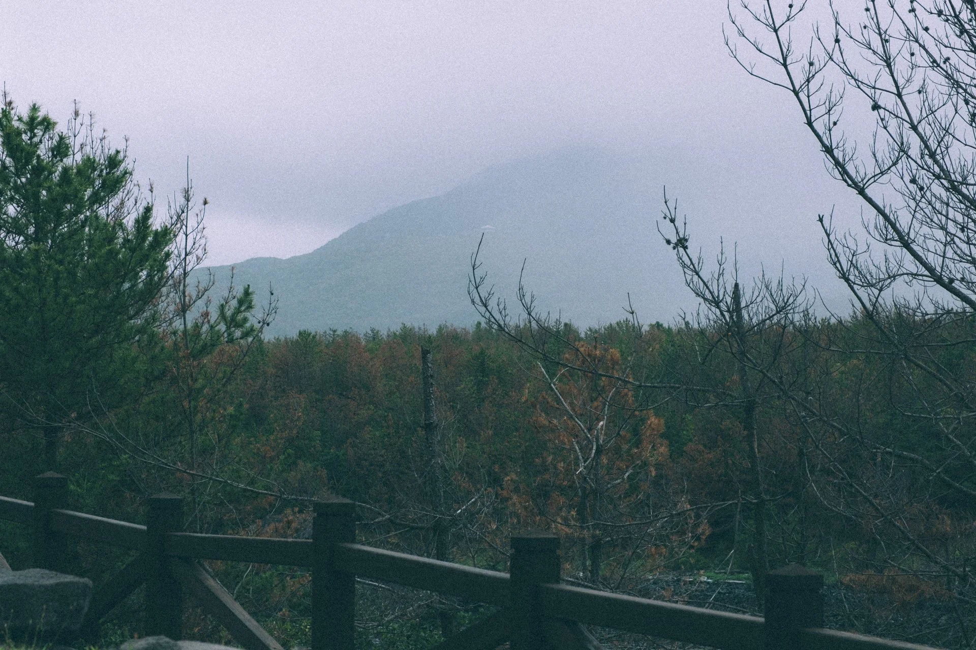 DSCF3567.jpg