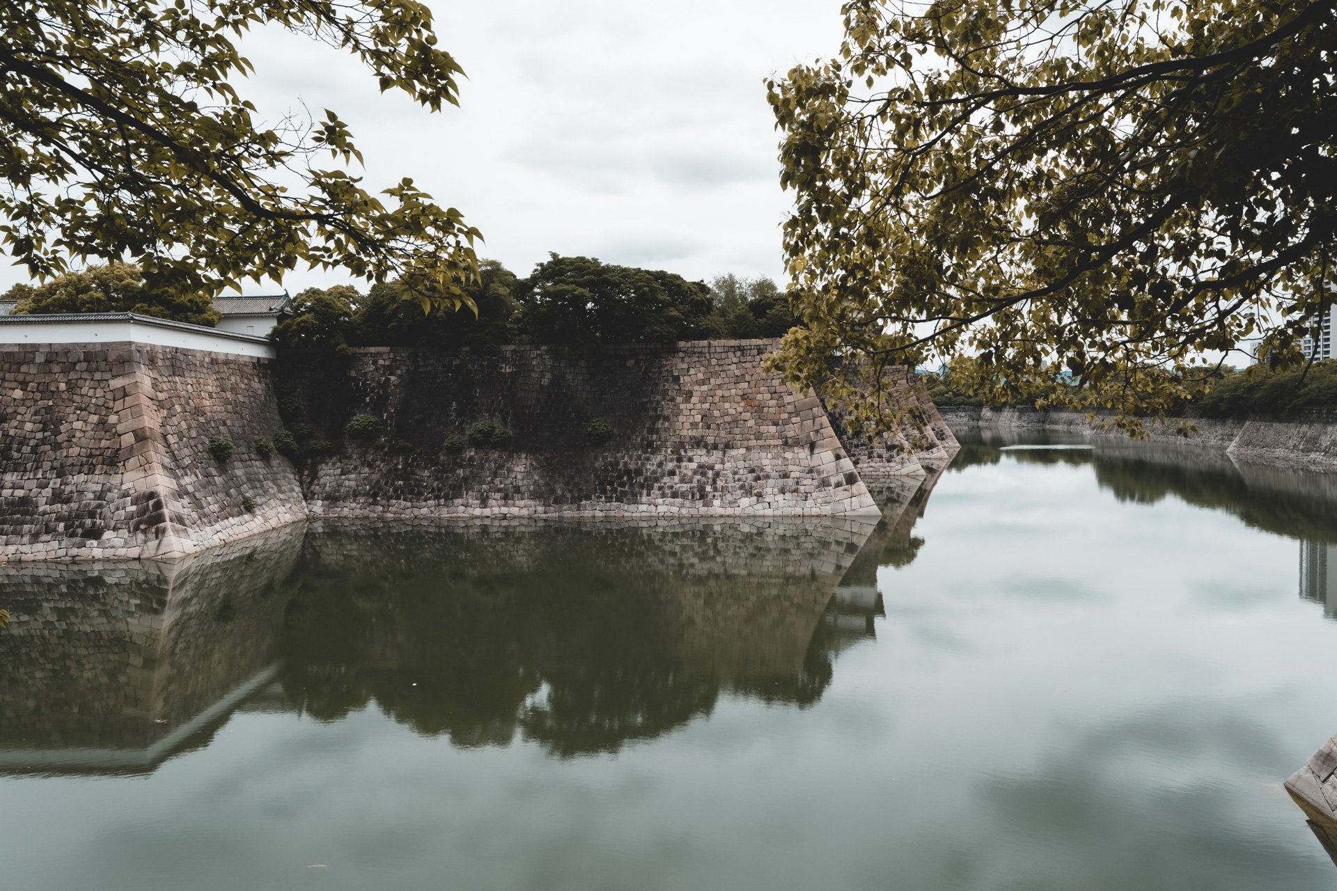DSCF4319.jpg