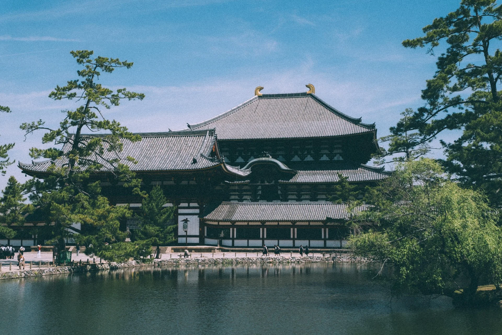 DSCF0426.jpg