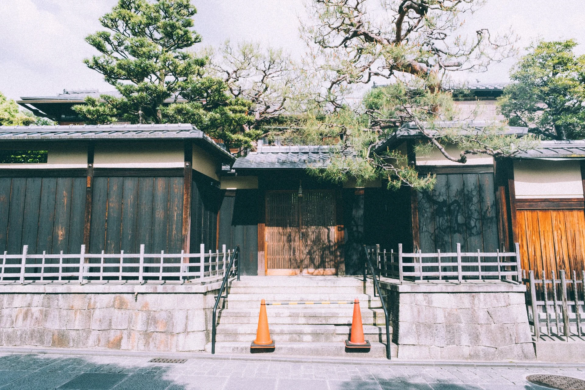 DSCF9590.jpg