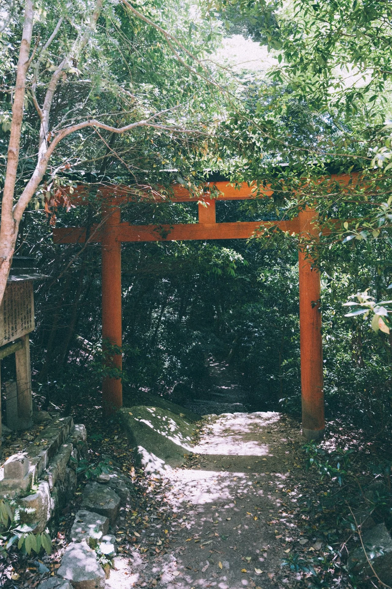 DSCF1628.jpg