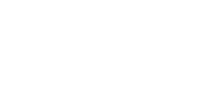 Mini.png
