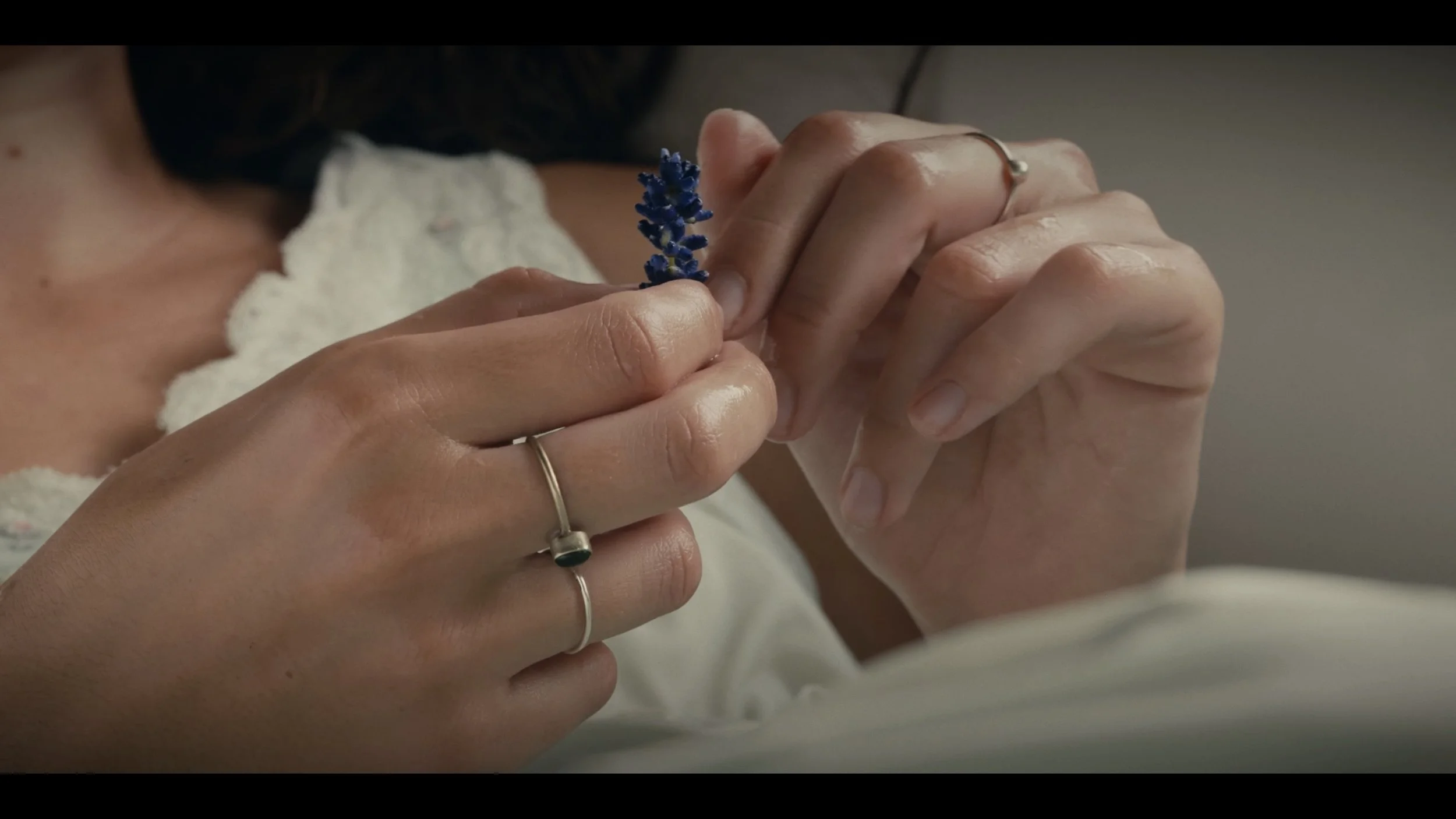 Still 2025-12-25 104722_1.4.63.jpg