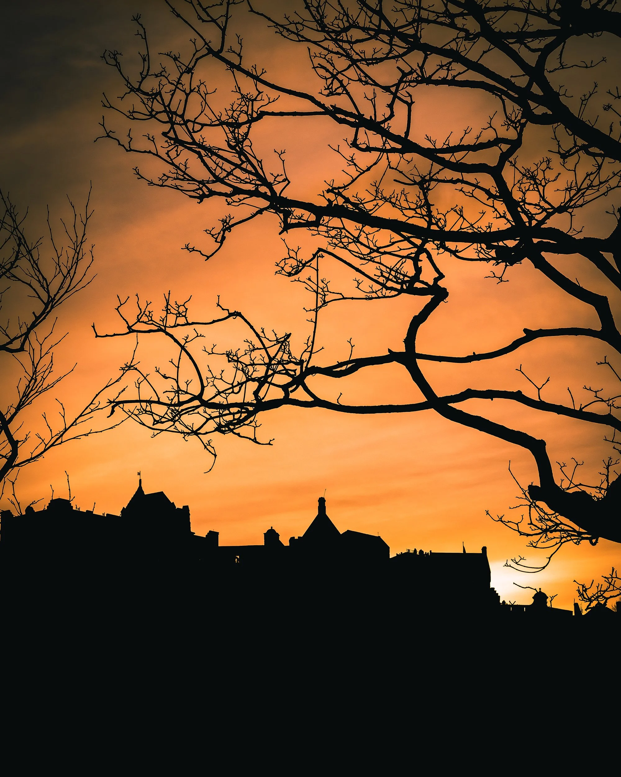 edinburghsunsetresize.jpg