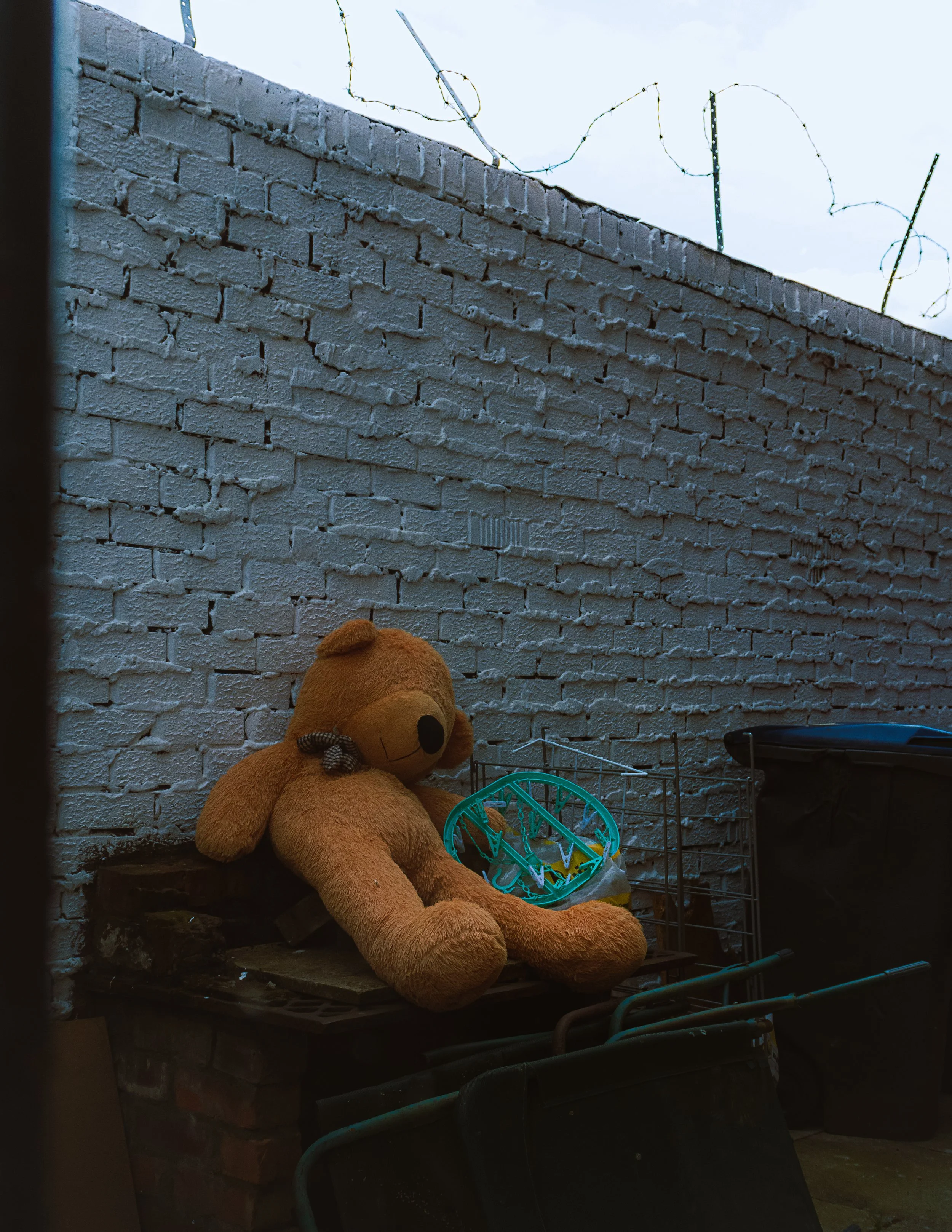bear trap.jpg