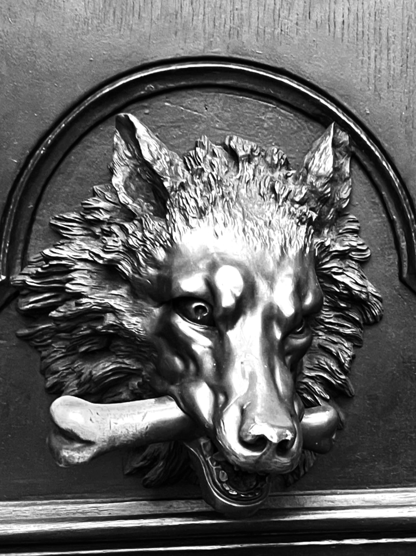 Trials (working title)