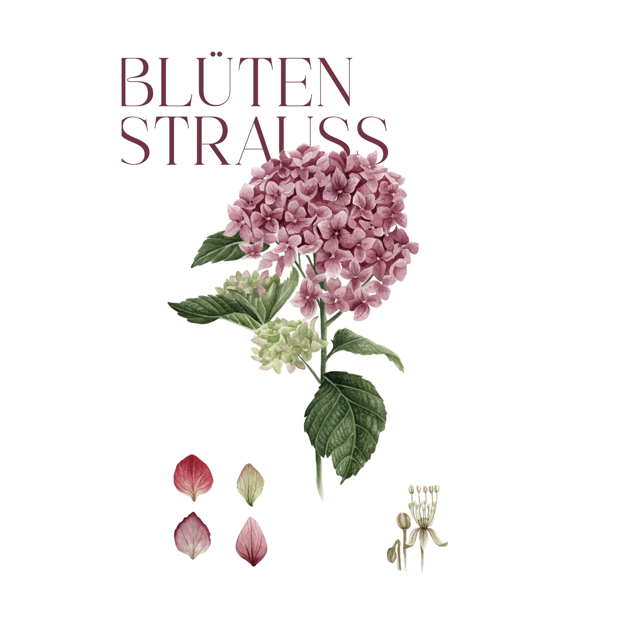 Wissenschaftliche Illustration