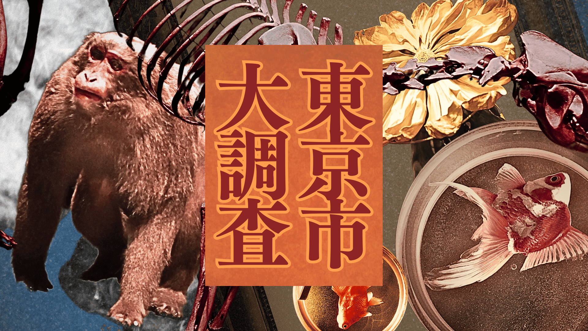 キャラクター紹介 (9).png