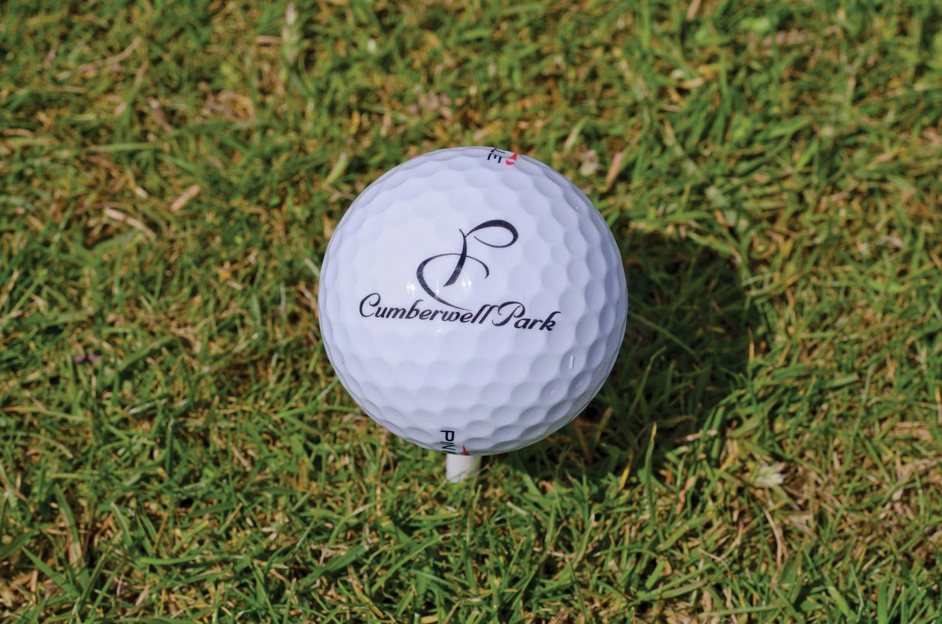 Close-up of a golf ball on a tee with 'Cumberwell Park' printed on it, placed on well-maintained green grass.